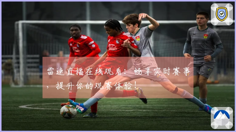 雷速直播在线观看：畅享实时赛事，提升你的观赛体验！